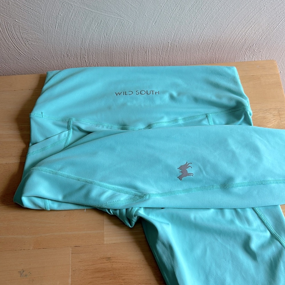 Wild South Intuition V2 Leggings in Mint. size Medium